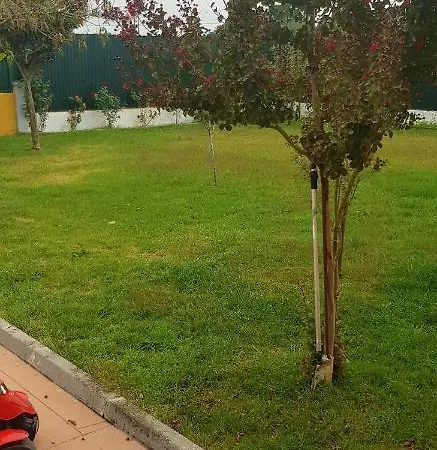 Studio In With Wonderful Mountain View Shared Pool Enclosed Garden 7 Km From The Beach * Setúbal